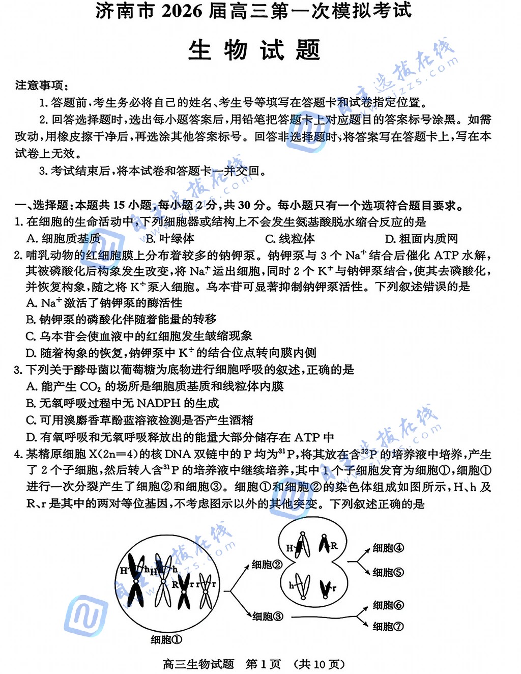 济南市2026届高三第一次模拟考试生物试题及答案